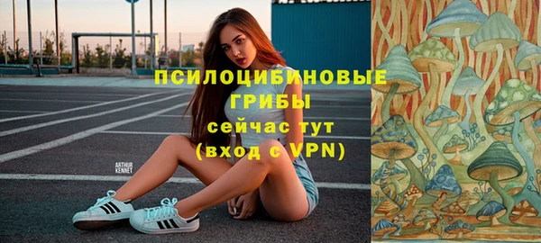 а пвп мука Арсеньев