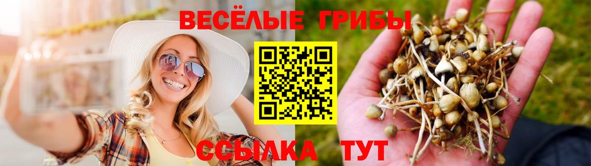 Нурлат  Галлюциногенные грибы прущие грибы  Вход с VPN 